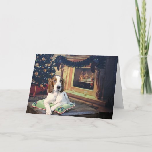 アイリッシュセおもしろいーター赤と白ホリデーカード カード (正面)