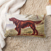 アイリッシュセッターのスポーツのな犬の1900年のイラストレーション ランバークッション (ブランケット)