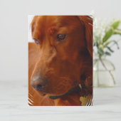 アイリッシュセッターの招待状 招待状 (スタンド正面)