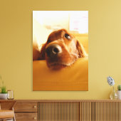 アイリッシュセッターオンソファ キャンバスプリント (インサイチュ (リビング))