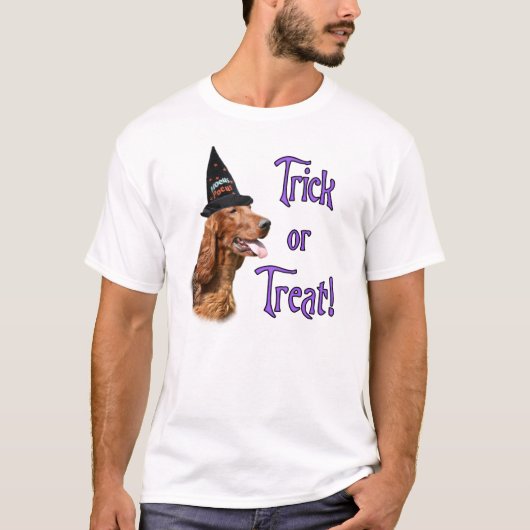 アイリッシュセッタートリック Tシャツ (正面)