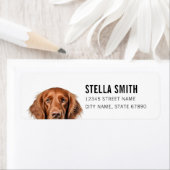 アイリッシュセッター差出人住所ラベル ラベル (インサイチュ)