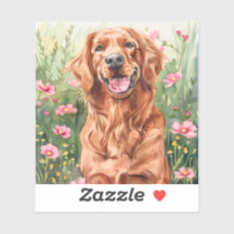 アイリッシュセッター水の色シール