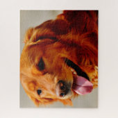 アイリッシュセッター犬。 ジグソーパズル (縦)