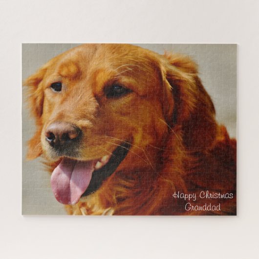 アイリッシュセッター犬。 ジグソーパズル (横)