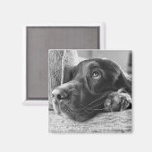 アイリッシュセッター磁石 マグネット (正面/裏面)