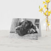 アイリッシュセッター空白のカード カード (黄色い花)