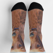 アイリッシュセッター絵画ズ – かわいいオリジナルドッグアート ソックス (上部)