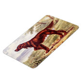 アイリッシュセッター1900犬のイラストレーションスポーツの マグネット (左側)