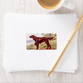 アイリッシュセッター1900犬のイラストレーションスポーツの ラベル (インサイチュ)