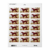 アイリッシュセッター1900犬のイラストレーションスポーツの ラベル (フルシート)