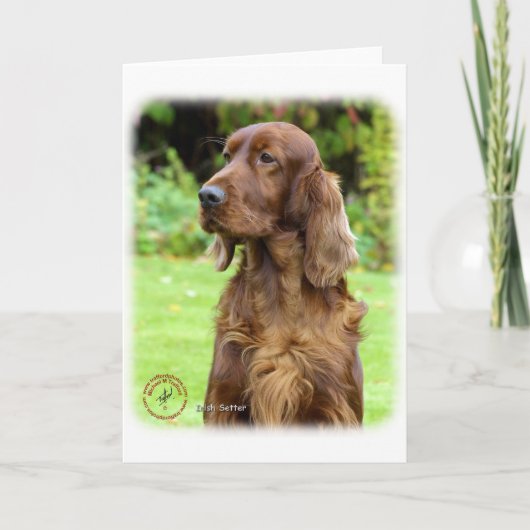 アイリッシュセッター9T004D-286 カード (正面)