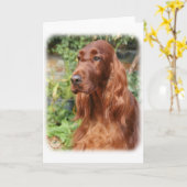 アイリッシュセッター9Y209D-090 カード (黄色い花)