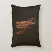 アイリッシュセッター アクセントクッション (正面(垂直))