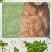 アイリッシュセッター キッチンタオル (折り畳み)