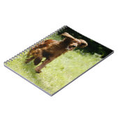 アイリッシュセッター ノートブック (左側)