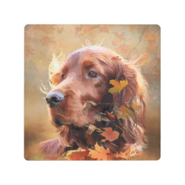 アイリッシュセッター メタルプリント