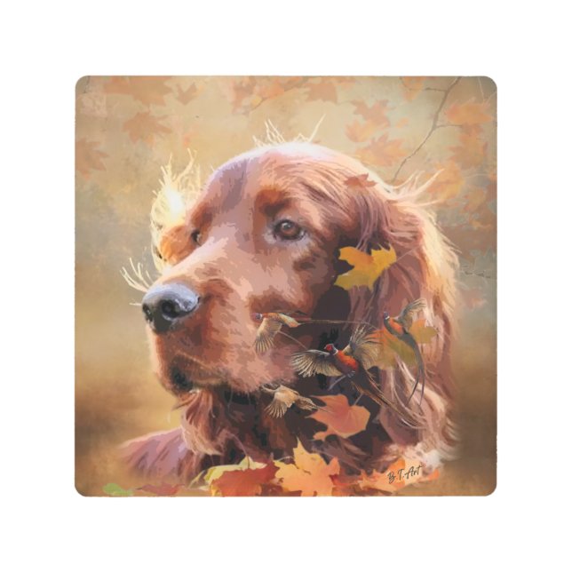 アイリッシュセッター メタルプリント (正面)