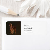 アイリッシュセッター ラベル (インサイチュ)