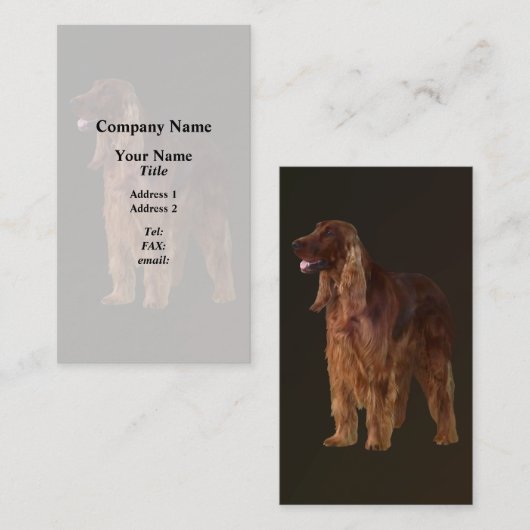 アイリッシュセッター 名刺 (正面/裏面)