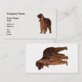 アイリッシュセッター 名刺 (正面/裏面)