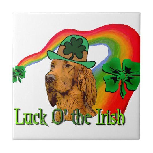 アイリッシュセッターSt patricks タイル (正面)