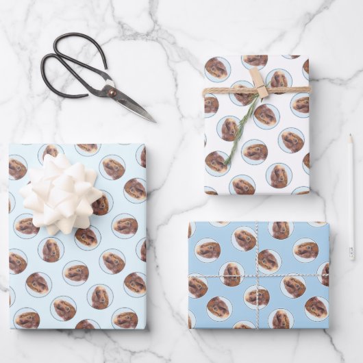 アイリッシュセ絵を描ッター赤かわいいオリジナルドッグアート ラッピングペーパーシート (正面)