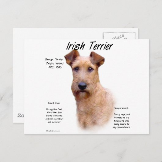 アイリッシュテリアヒストリデザイン ポストカード (正面/裏面)