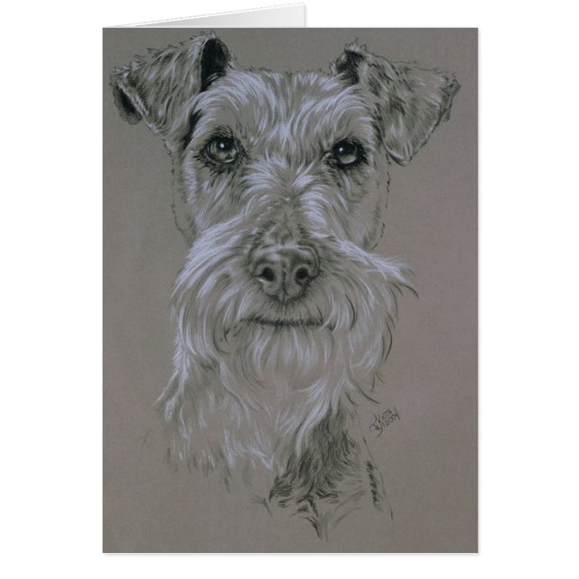 アイリッシュテリア (正面)