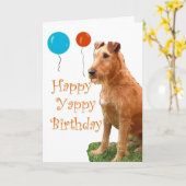 アイリッシュテリア カード (黄色い花)