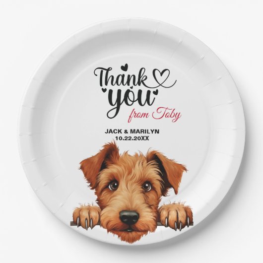 アイリッシュテリア ペーパープレート (正面)