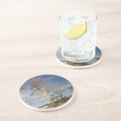 アイリッシュブナの木 コースター (側面)