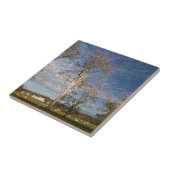 アイリッシュブナの木 タイル (側面)