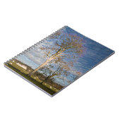 アイリッシュブナの木 ノートブック (左側)