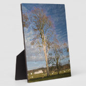 アイリッシュブナの木 フォトプラーク (側面)