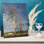 アイリッシュブナの木 フォトプラーク (側面)