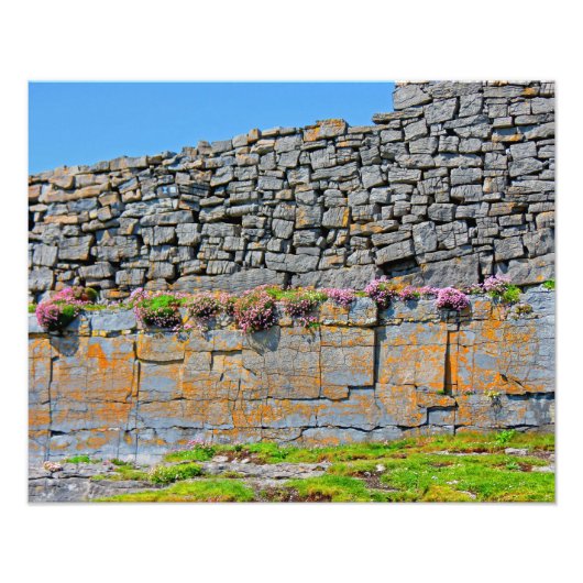 アイリッシュプレヒストリックストーンフォート フォトプリント            (正面)