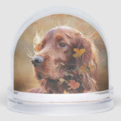 アイリッシュレッドセッター、アイリッシュセッター (正面)