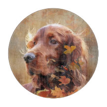 アイリッシュレッドセッター、アイリッシュセッター