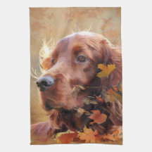 アイリッシュレッドセッター、アイリッシュセッター