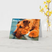 アイリッシュ恋しく思テリア犬の空白の声 カード (黄色い花)