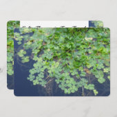 アイリッシュ春クローバー結婚式招待状 招待状 (正面/裏面)