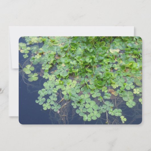 アイリッシュ春クローバー結婚式招待状 招待状 (正面)