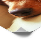 アイリッシュ諺スリーピングドッグポスター ポスター (角)