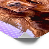 アイリッシュ鮮やかセッターポップ・アートのアート ポスター (角)