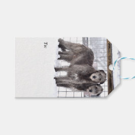 アイリッシュ・ウルフハウンズ・イン・スノー ギフトタグ