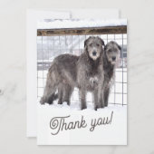 アイリッシュ・ウルフハウンズ・イン・スノー 招待状 (正面)