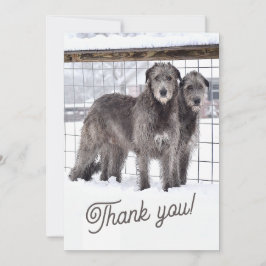 アイリッシュ・ウルフハウンズ・イン・スノー 招待状