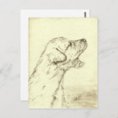 アイリッシュ・ウルフハウンドの子犬 ポストカード (正面/裏面)