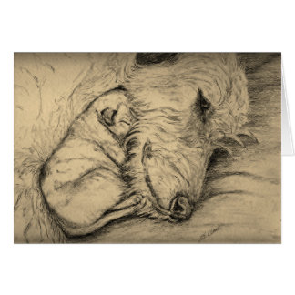 アイリッシュ・ウルフハウンドの母および子犬